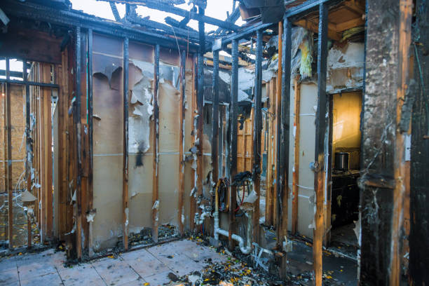Professional Fire Damage Assessment technician working in Lynwood, IL